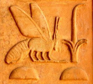 People often brought honey to temples as payment to the gods. Temples kept honey for their gods and was also used in medicine to treat and seal open wounds, for its antibacterial properties. Egyptians used beeswax in the mummification process, for candles, as a sealant for ships.
