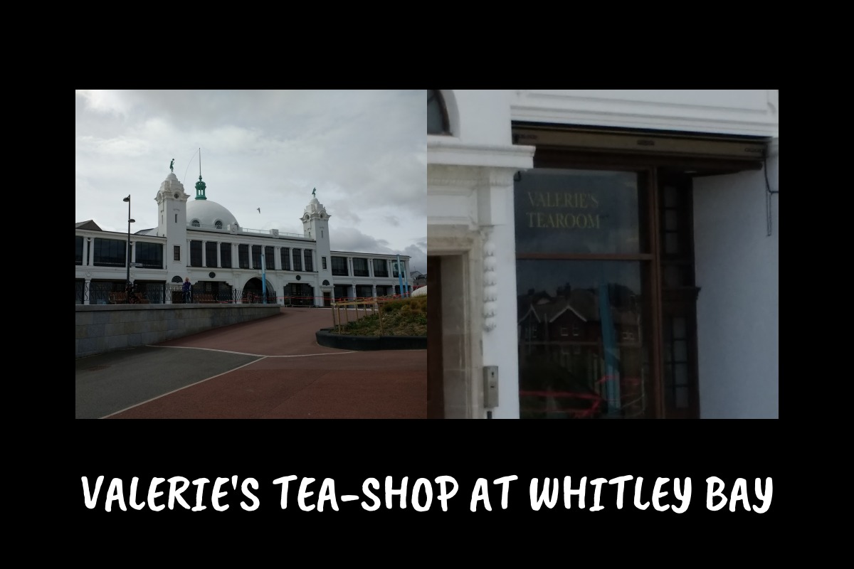 Valerie Pitman Fan tweet media