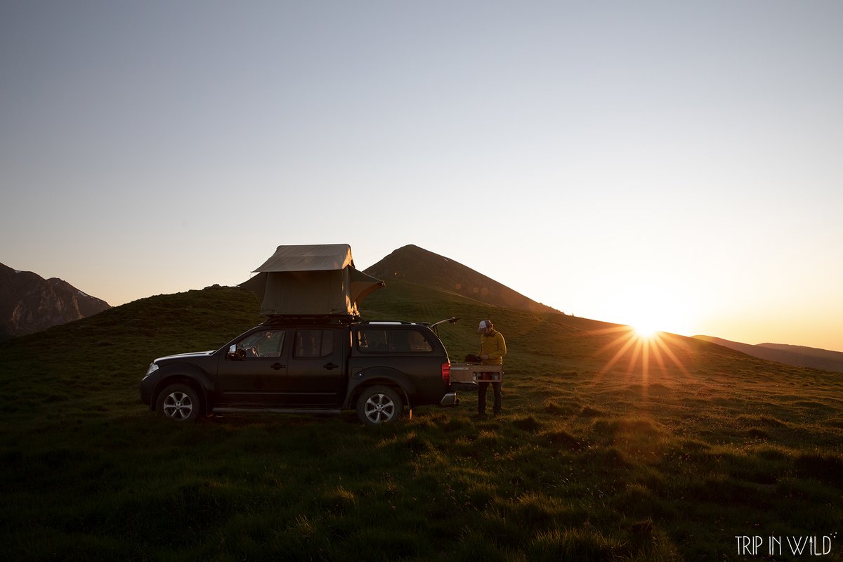 Trip in Wild tweet media