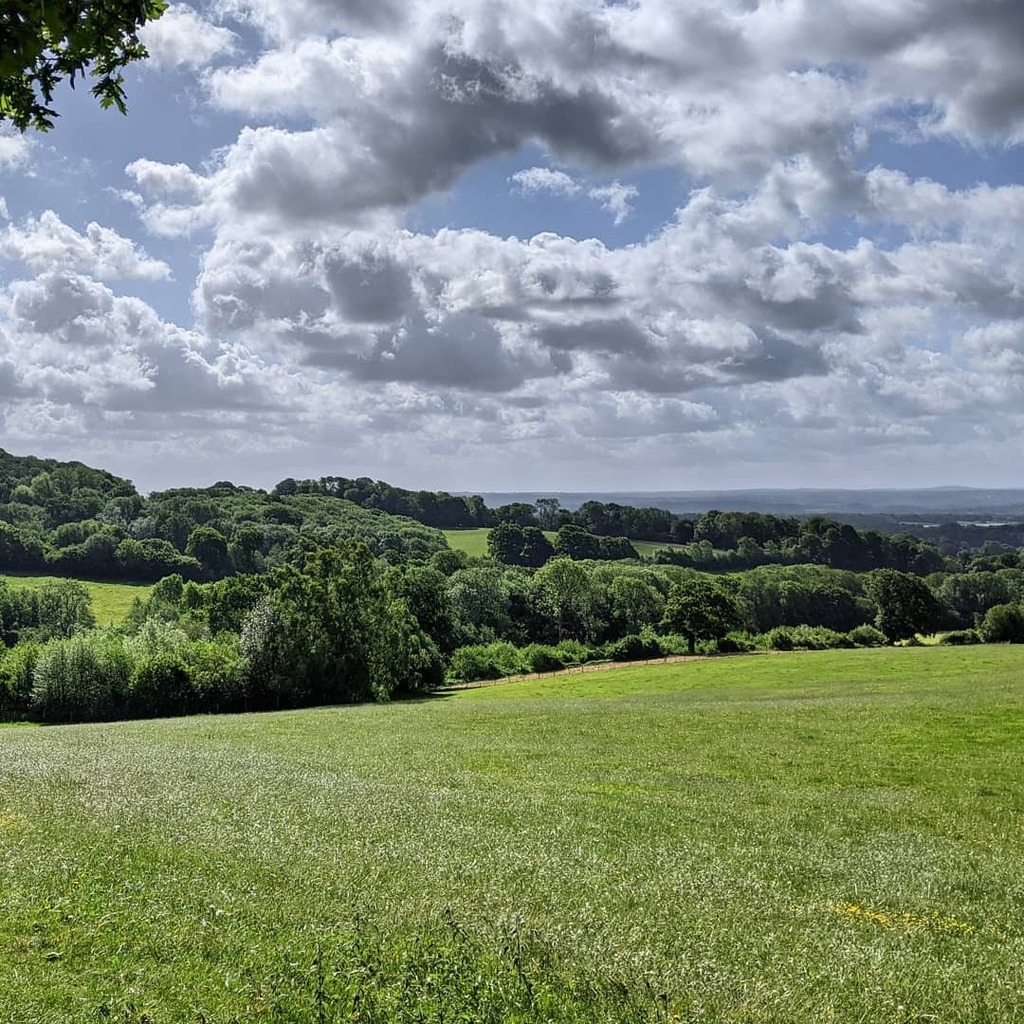CraigBaldwin's tweet photo. Emerging from lockdown.

#countryside #fields #toyshill #nationaltrust #walk #summer https://t.co/IgOSUXUkDY https://t.co/Vl4As1uDOv