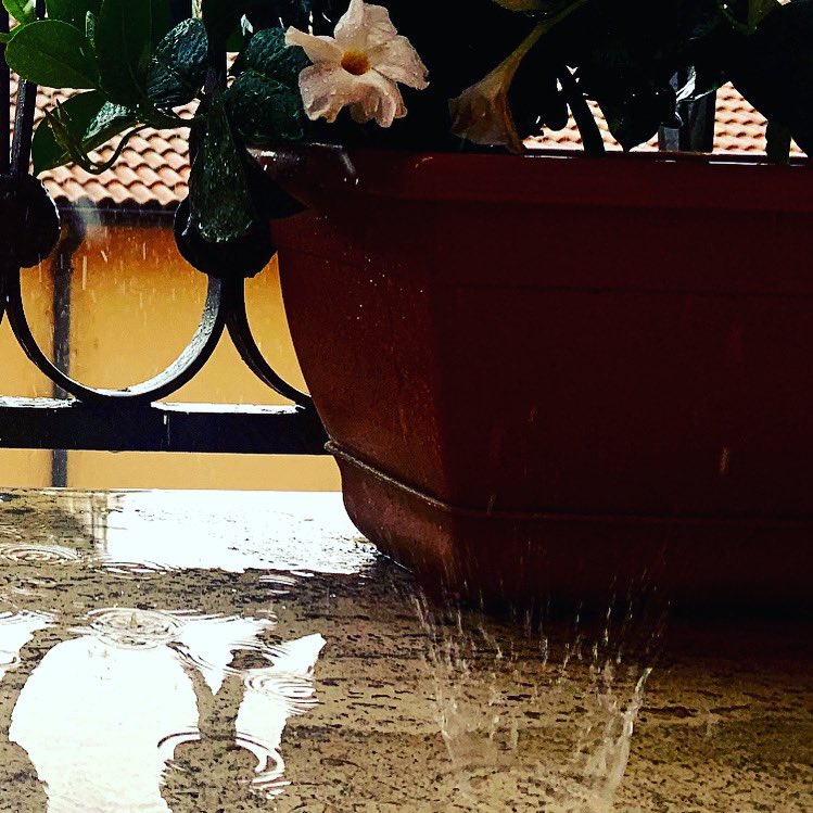 Dibi71Diblasio's tweet photo. “Non può piovere per sempre...” #Rain

https://t.co/QFv79ELadh https://t.co/aDKyVLABLJ