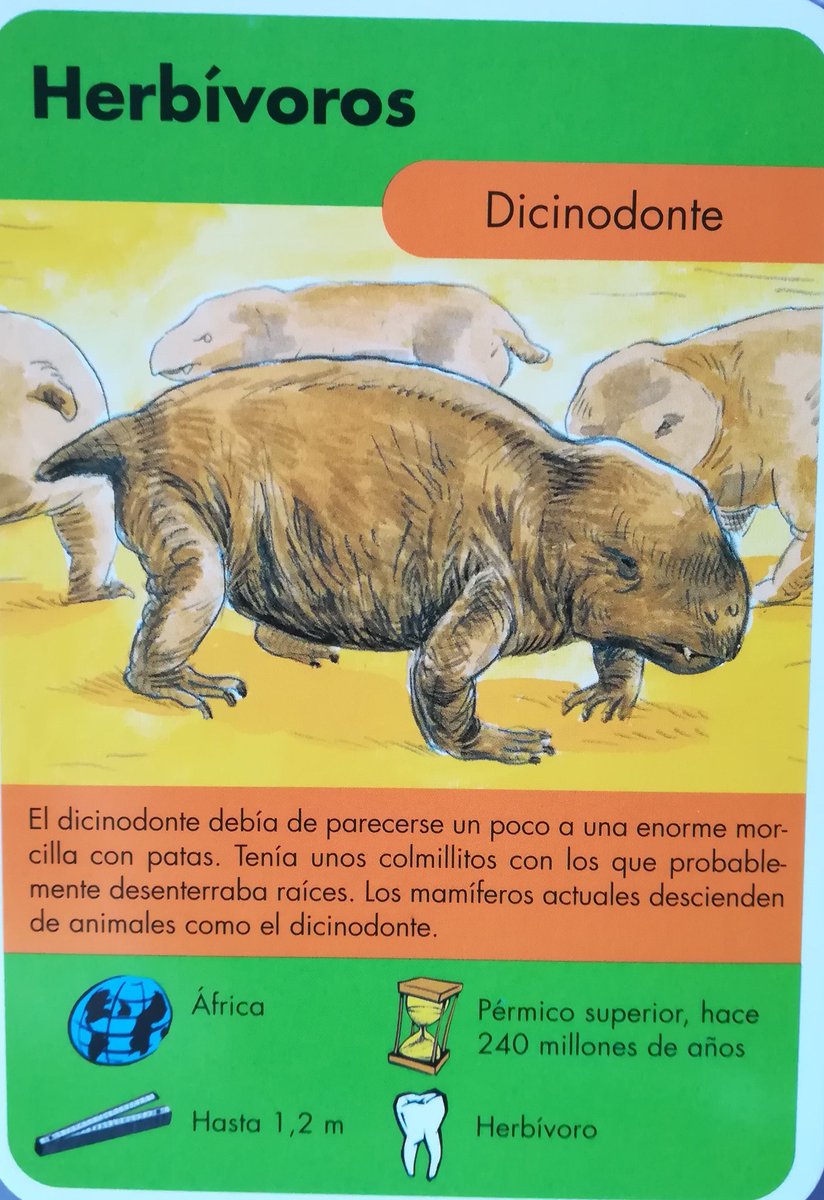 3."The dycinodont should've look like an enourmous sausage with legs"