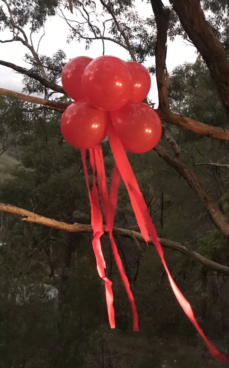 EvelynOLoughlin's tweet photo. Today is the last day of National Volunteer Week 2020. Thank you to all volunteers - in every street, every town, every city and in every community. You are amazing! Lovely to see everyone supporting #colouryourcommunityred. Here’s ours #SAvolunteer #NVW2020 #5052 https://t.co/ImLUK94A7d