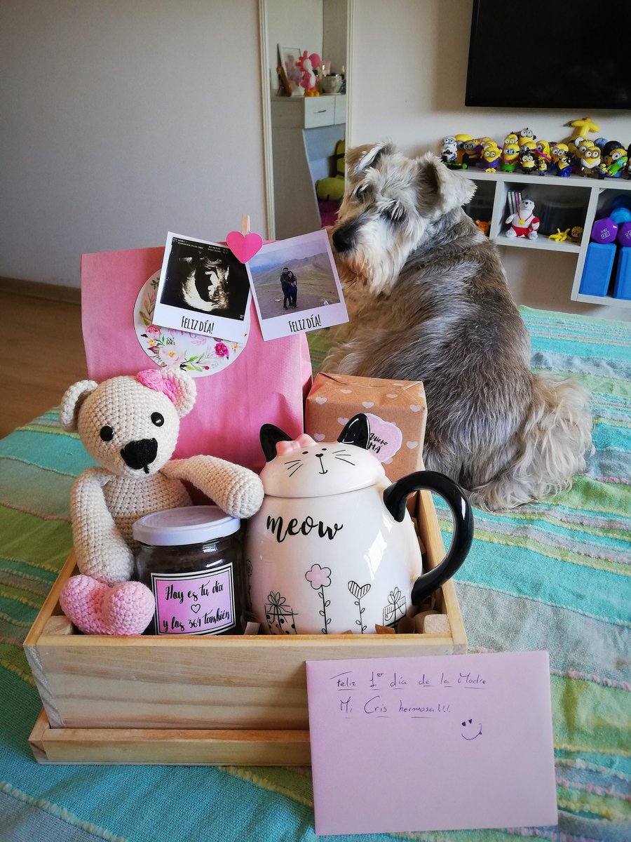 cris140506's tweet photo. Y una noticia inesperada llegó este año, disfrutando de esta nueva/linda etapa día a día 😊👣🐾✨💞 #19w https://t.co/IxpOIT91L9