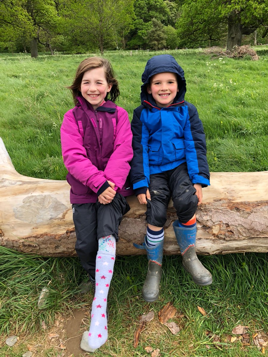 St Peter's PS tweet media