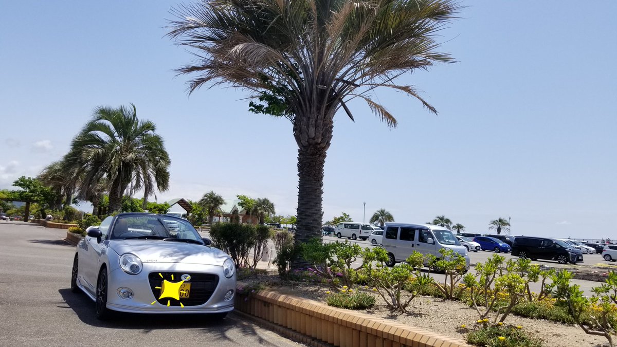 𝕂 𝕐 𝕆 きょ 音楽 車の攻略法ブログ作り中 Na Twitteru 蒲フォルニア以外の 県内 海辺撮影スポット発掘一人旅 吉良ワイキキビーチ 路肩や駐車場で焦らず撮影可 トイレ 自販機あり ヤシ並木のそばで撮影不可 堤防高くて海が見えにくい 𝕂 𝕐 𝕆 きょ 音楽 車の攻略法ブログ作り中 Na Twitteru 蒲フォルニア以外の 県内 海辺撮影スポット発掘一人旅 吉良ワイキキビーチ 路肩や駐車場で焦らず撮影可 トイレ 自販機あり ヤシ並木のそばで撮影不可 堤防高くて海が見えにくい