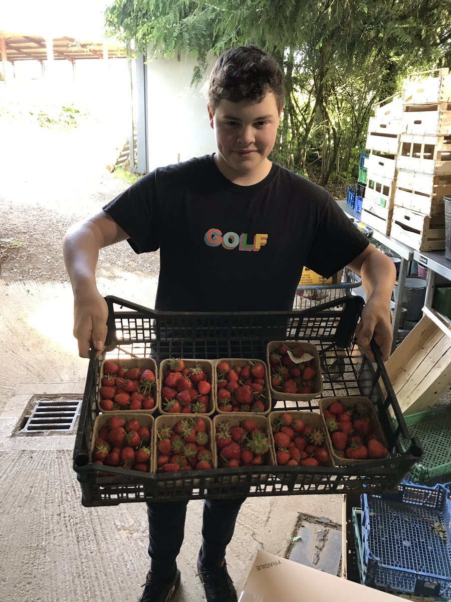 FarmShopOrganic's tweet photo. Great to have head grower Andy’s son Archie volunteering in the veg garden. #homeschooling at its best https://t.co/IVKrKOPy6v