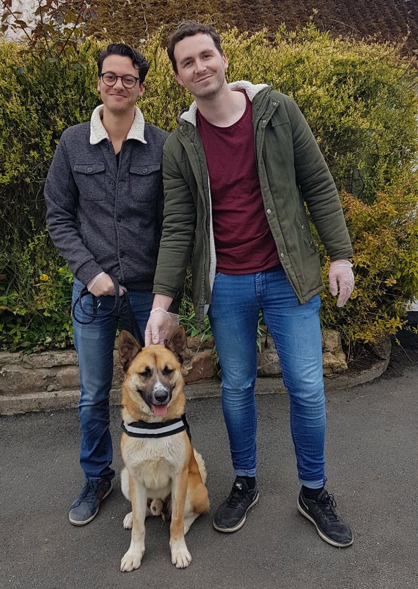 ARWTrust's tweet photo. β€οΈπ SMITTEN ADOPTION ALERT πβ€οΈ
Buddy has bagged himself a 10/10 home. This is what rescue is all about, achieving the end result of giving an Akita a second chance at a happy ever after. Be happy Buddy, thank you for supporting ARW #adoptdontshop #rescueisbest #arwtrust https://t.co/zylb6jQCle