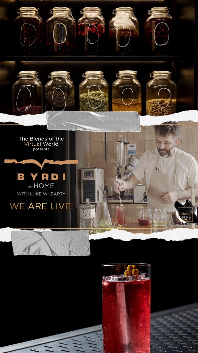 BYRDI AT HOME

theblend.world/botw/byrdi