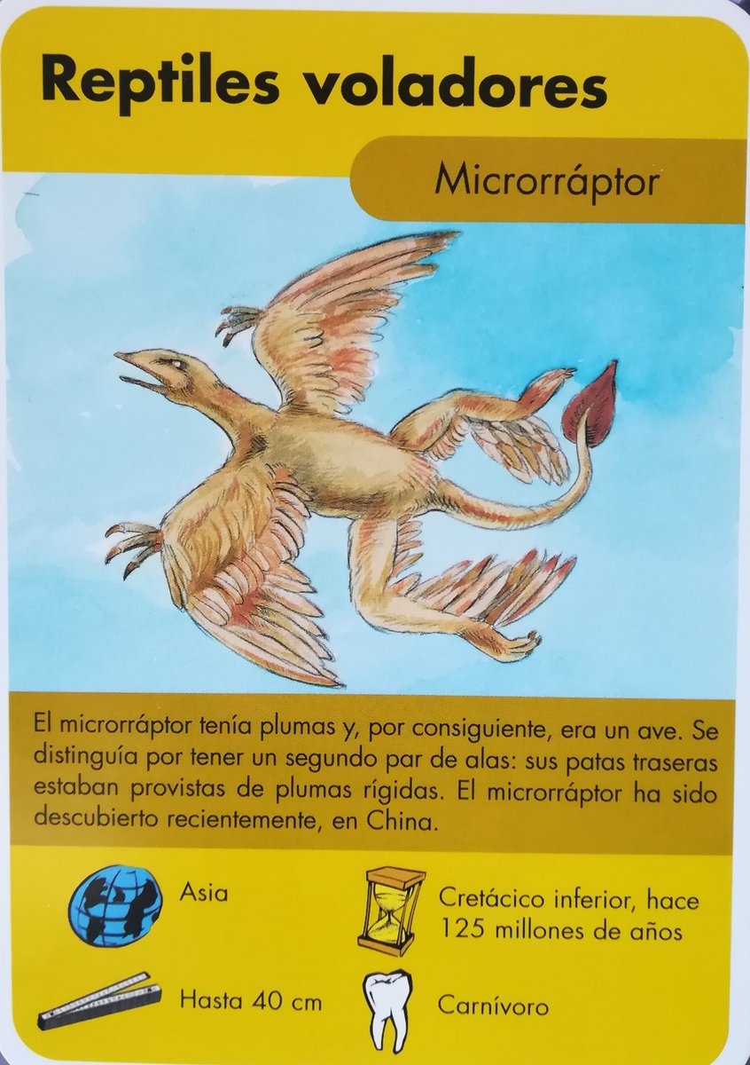 7.  @MicrorapterrBest Microraptor depiction in media.