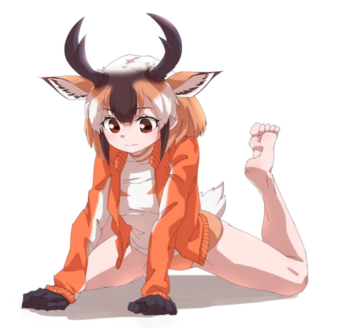 プロングホーン 