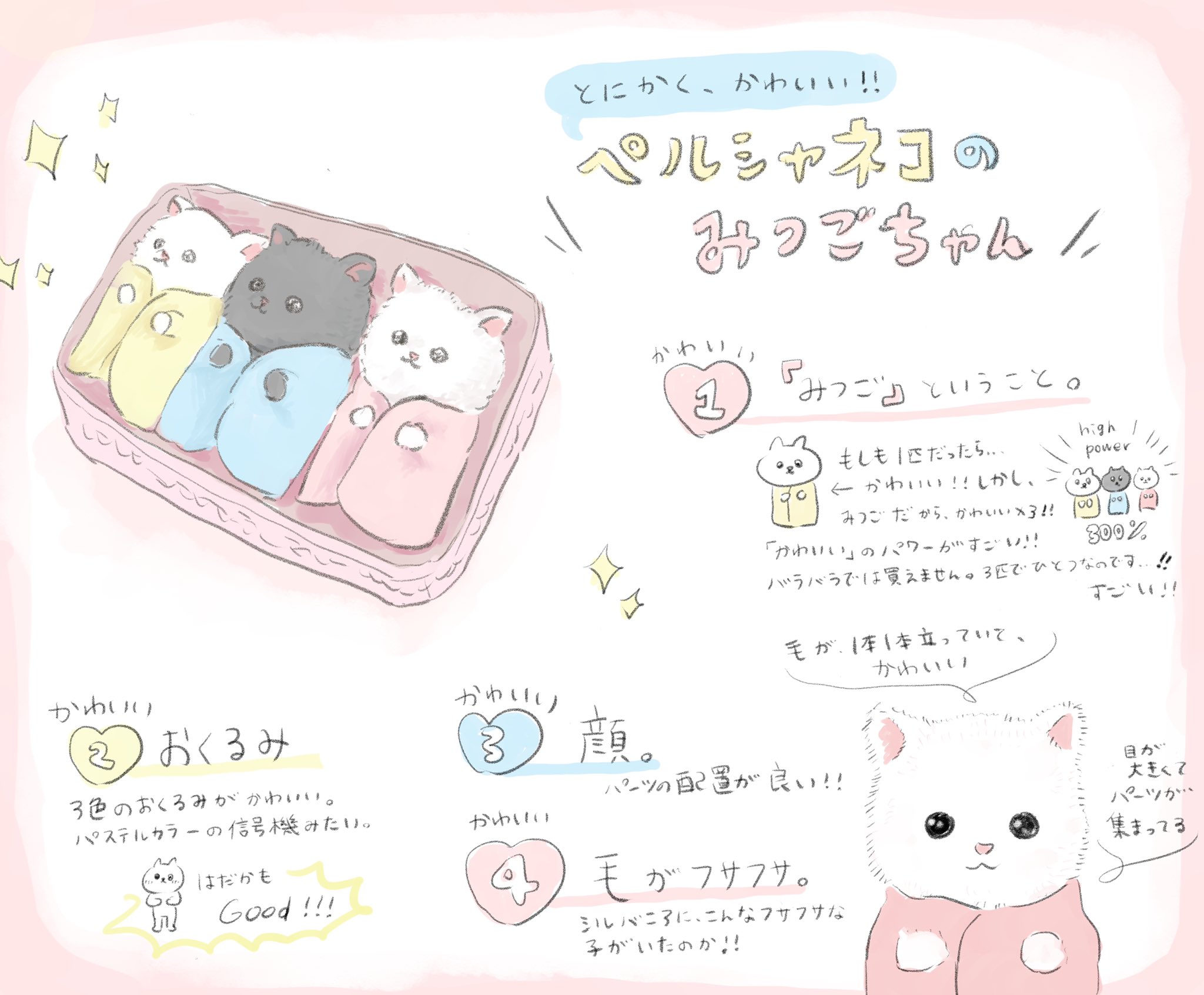 Sale開催中 シルバニアファミリー ペルシャネコのみつごちゃん Dprd Jatimprov Go Id