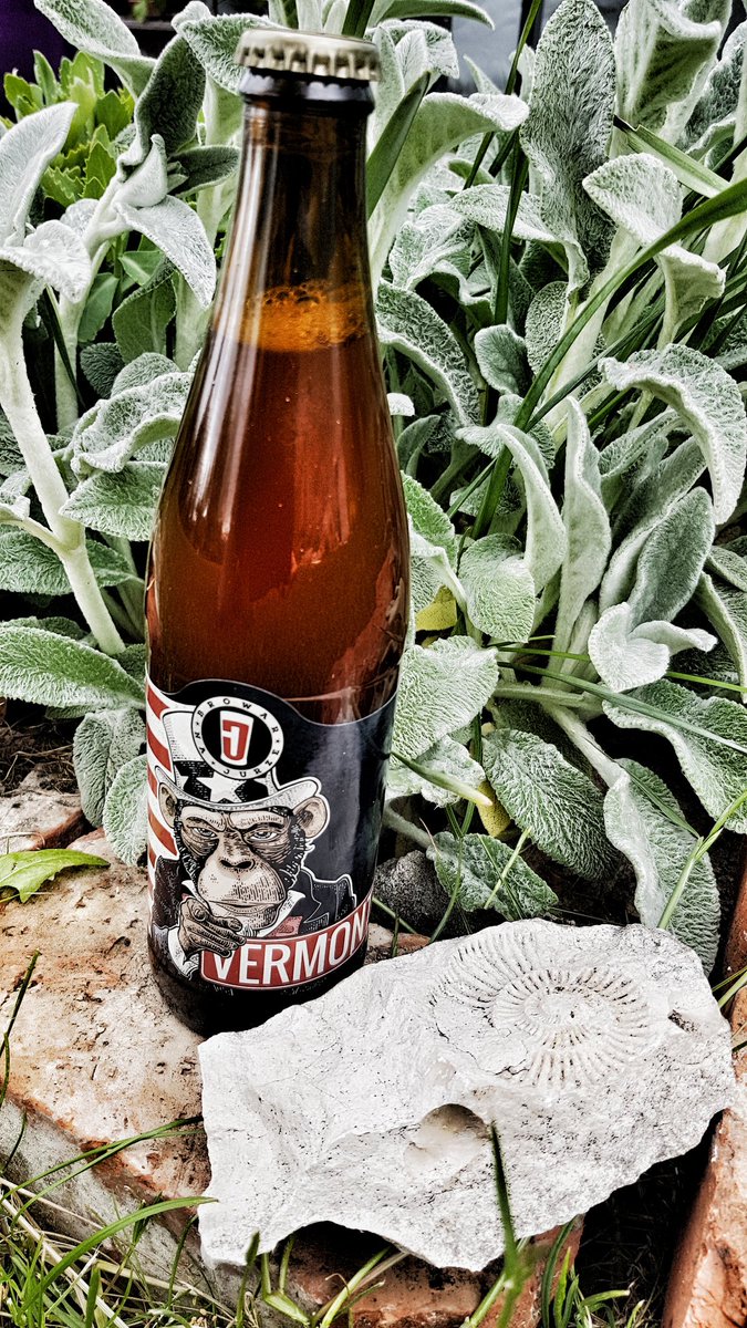 BrowarNaJurze's tweet photo. A teraz coś dla miłośników piw nowofalowych. #VermontIPA ( New England IPA ) Lekko zamglona, goryczkowa i niezwykle aromatyczna dzięki szlachetnym chmielom amerykańskim i nowozelandzkim. Polecamy i prosimy o RT 😊 https://t.co/5GItnnaiwc
