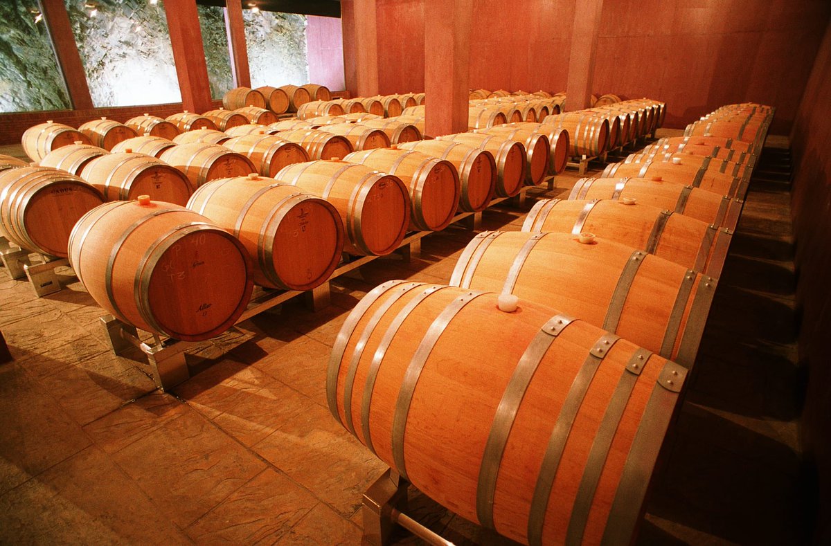 VinosIberian's tweet photo. Esta es parte de la sala de barricas en nuestra Bodega de Priorat ByV de Cal Grau. Esta situada bajo tierra y rodeada de piedra Pizarra conocida localmente como Licorella y que es la base del suelo de nuestros viñedos. #vino #wine #Priorato #Badaceli #LaPetiteAgnes #LesOnes 🍇🍇 https://t.co/H8DGjBg2IZ