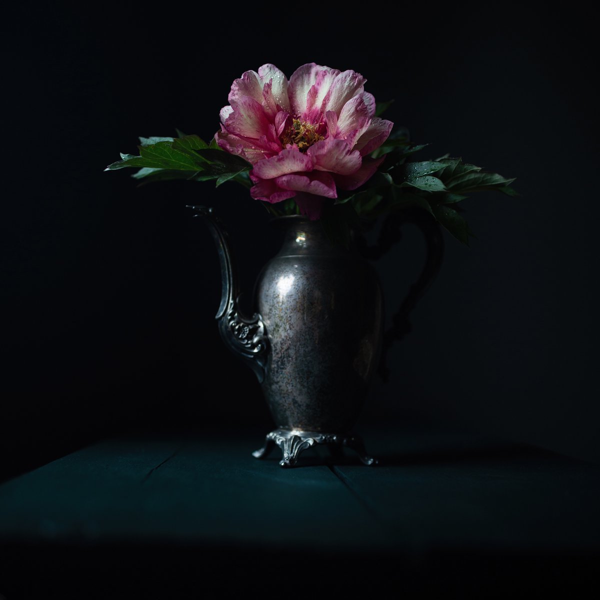 angiesuelambert's tweet photo. A simple cutting, from the garden, combined with natural light brings this peony to the forefront. I could not stop clicking! #MyCanonStory
Camera: #Canon EOS-1DX
Lens: Canon EF 35mm 1/4L II USM
Aperture: f/1.4
ISO: 100
Shutter Speed: 1/640s https://t.co/5hpyPLOnl6