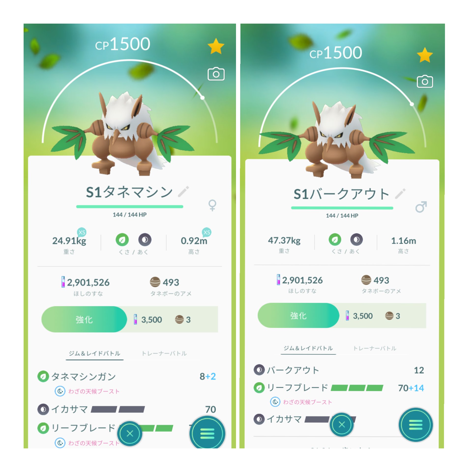 טוויטר ごんぺ隊長と隊員 בטוויטר ダーテングsl１位の個体が採れたのでバークアウト型とタネマシンガン型を用意しましたが使い分ける必要が有るのか謎 元々バークアウト優秀だしね ポケモンgo ダーテング タネマシンガン T Co Gijgyncayy