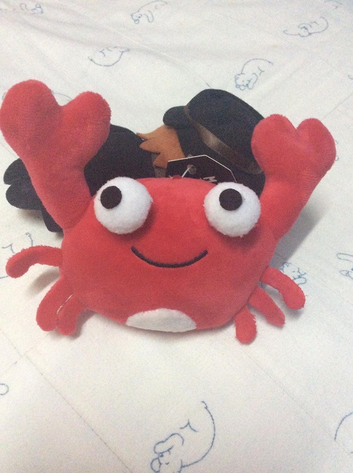 " ทาด๊า~ มาลงรูปหนึ่งในของตอบแทนที่ฉันจะมอบให้เธอเป็นเซอร์ไพรส์ล่ะ เจ้าปูน้อยก็ควรอยู่กับปูน้อยถูกมั้ย "

" แต่ตอนที่คุนิคิดะคุงเห็น  ดันบอกว่าเหมือนปูเมาเห็ด ขอบตาดำปี๋ ไม่น่ารัก ดูถูกสุด ๆ ไปเลย เธอไม่ได้คิดแบบนั้นใช่ไหม 🥺? "

ส่วนคนที่อยู่ด้านหลังปล่อยเบลอไปดีกว่า