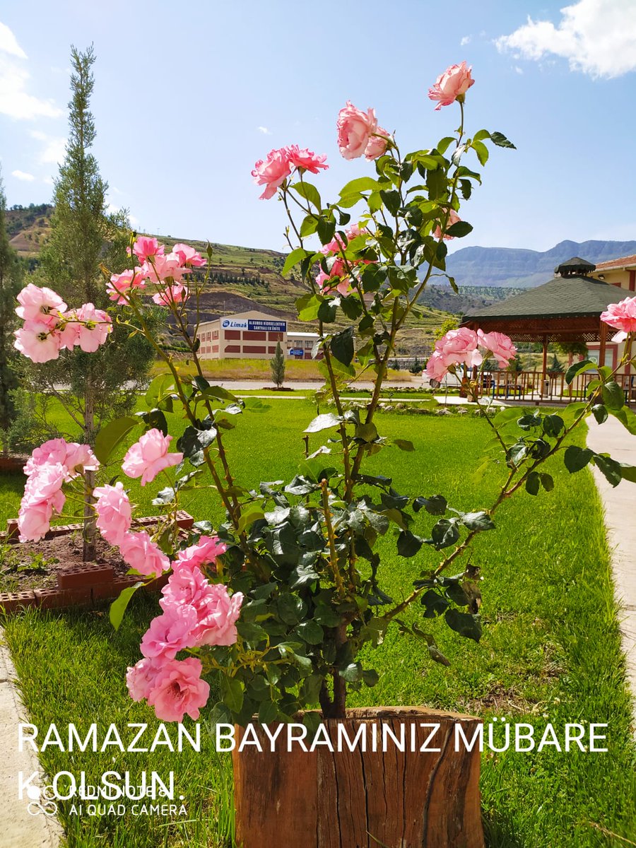 Kardelen Mustafa ULUŞIK (@kardelnmustafa) on Twitter photo 