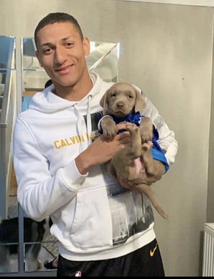 Richarlison with his pets (a thread)  @richarlison97