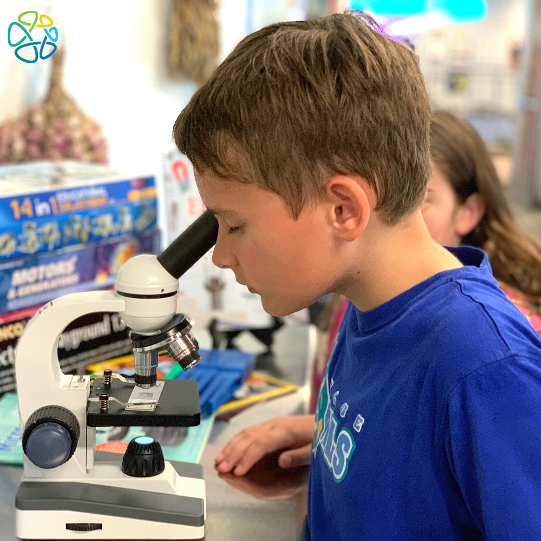 DiscoveryDayAca's tweet photo. Discover why project based learning is at the foundation of our teaching methodology 🔭 https://t.co/i9pWieotqJ 

 #discoverydayacademy #projectbasedlearning #bonitasprings #naplesflorida #SWFL #independentschool #floridaeducation #lifelonglearning #education https://t.co/A6GaRbXryg