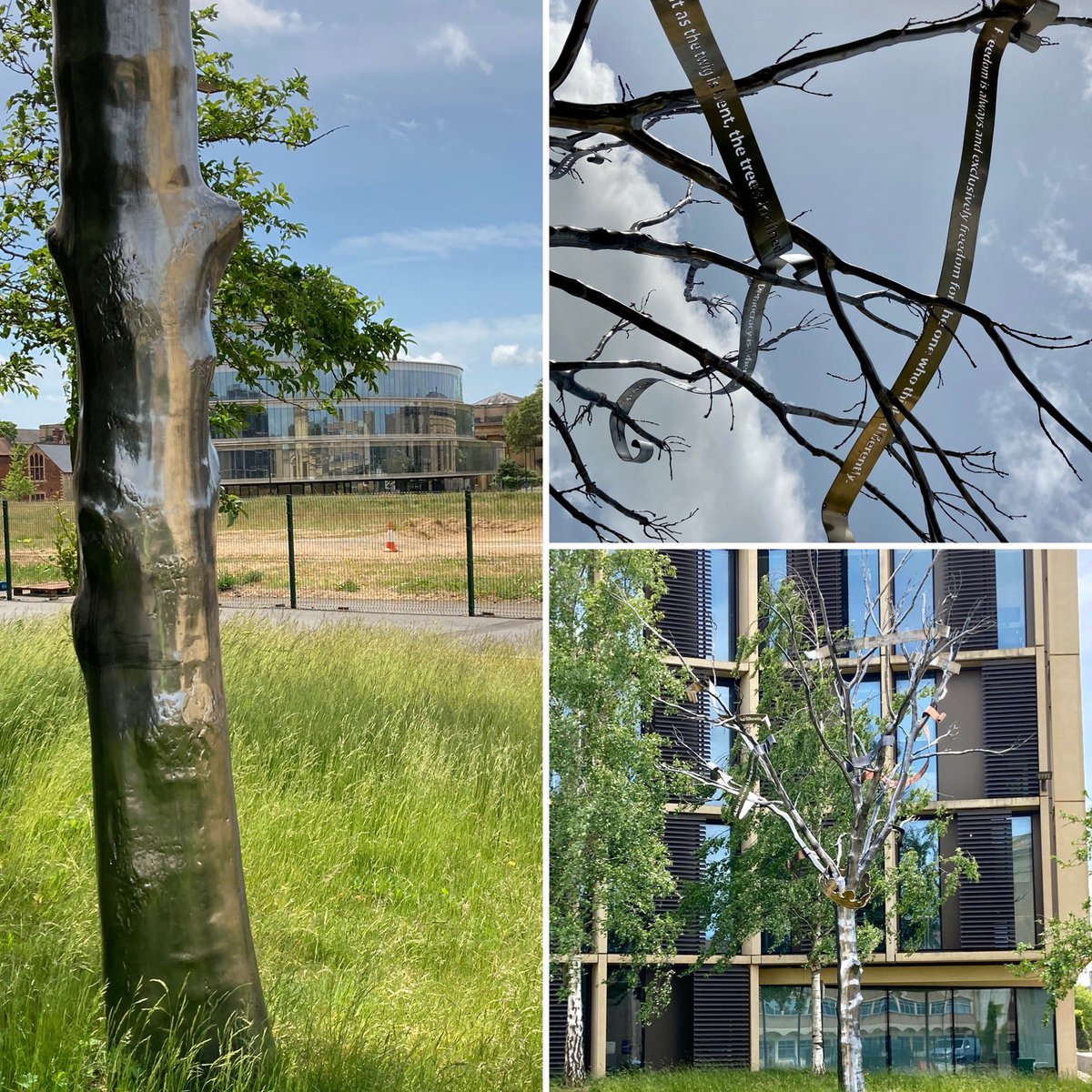 HelenRWallis's tweet photo. Beautiful metal tree spotted during #lockdowncycle #oxfordradcliffequarter https://t.co/HJXVkBrNZN
