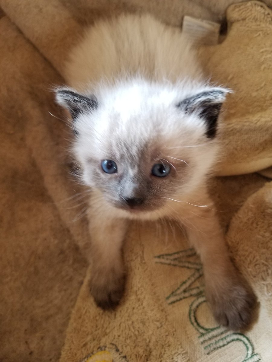 Good morning from Blanche!