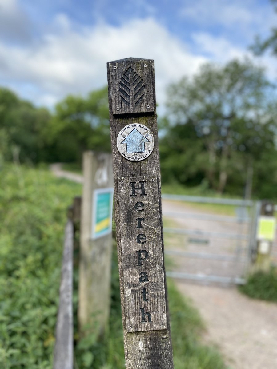 ChannelEventsUK's tweet photo. Our Events Director, Dan was out early this morning making his way around the lovely #herepath in the beautiful @blackdownhillsaonb 
Dan lives in Taunton so this is right on his doorstep! A short drive to the start at Thurlbear (He’s too lazy to add a few more miles to his run). https://t.co/bxZSrjopgD