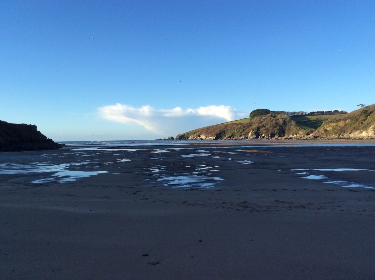 Christine Pearcy💙 tweet media