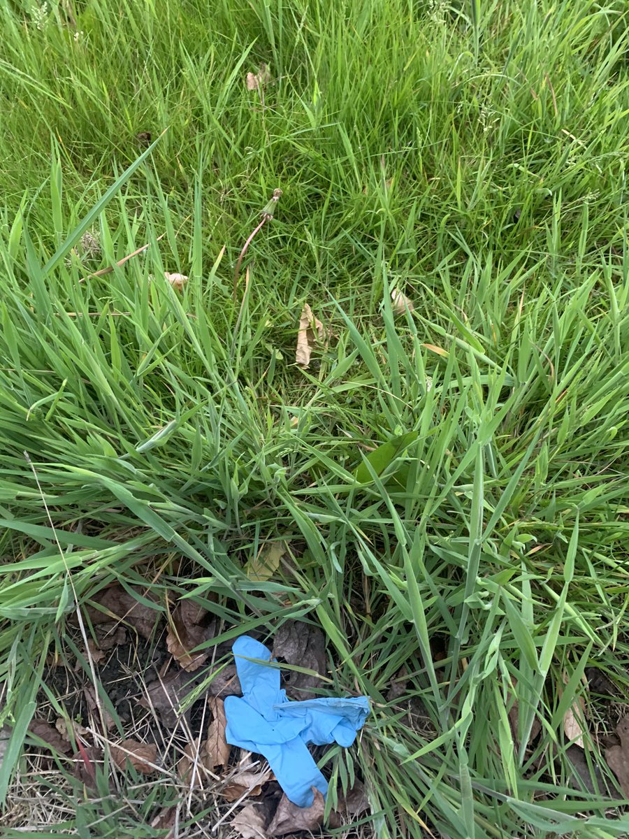 onetakewoop's tweet photo. I don’t understand the one 🧤thing. Or why they’re littered on our pavements. Someone has to pick these up. 🤦‍♀️ #pleasebeconsiderate and dispose of plastic/latex/vinyl gloves responsibly. Is this happening in other places than #Glasgow? https://t.co/G8m168iy5y