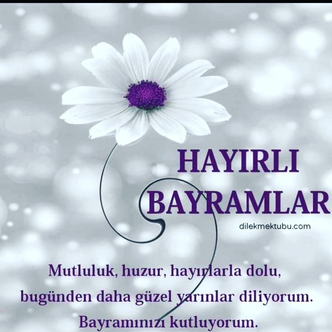 unalmercan's tweet photo. https://t.co/7lKRjy7HdO