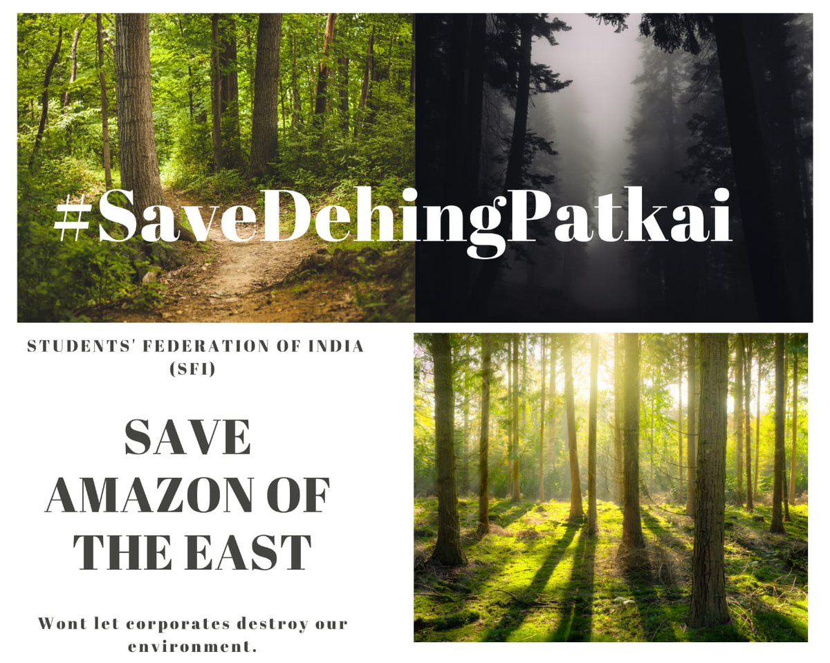 sayyansaha's tweet photo. Protect the east Amazon of India . 
Stop Coal mining . Protect rain forest . 
#SaveDehingPatkai https://t.co/vUt4kG0oO1