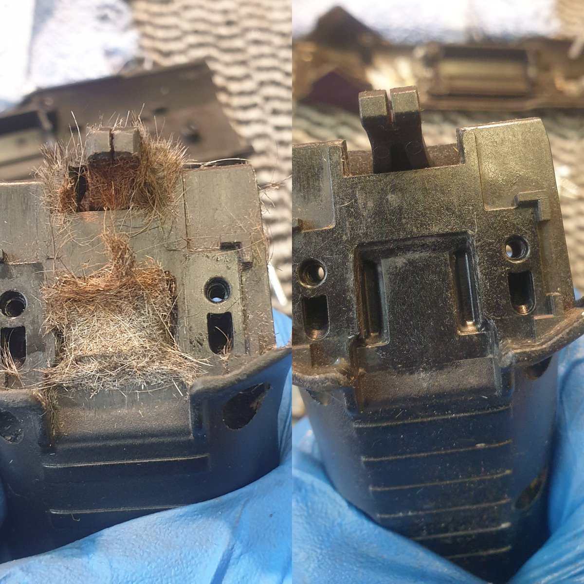 SharpeningSolu3's tweet image. 🐕✂️ Dog Grooming Clippers 2 Second Tip:

At the end of every day, take your blaster and blow out the head of your clipper to clear the fur away. 

#sharpeningsolutions #givingyoutheedge #sharpening #doggrooming #clippers #Ashingdon #Essex #nbstg #certifiedsharpener