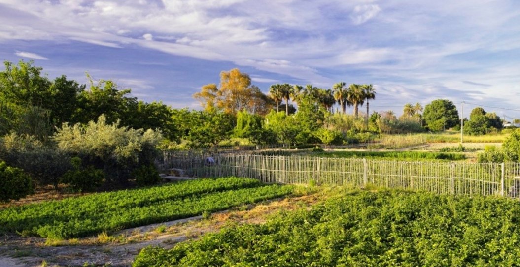 44. Murcia- We make fun of them not existing, actually acknowledging them- Spain's backyard- Have a massive lagoon that they threw tons of pollutants in + also earthquakes! - The only good to ever come out of here are Ruth Lorenzo, Blas Cantó and  @MrJoseSirk