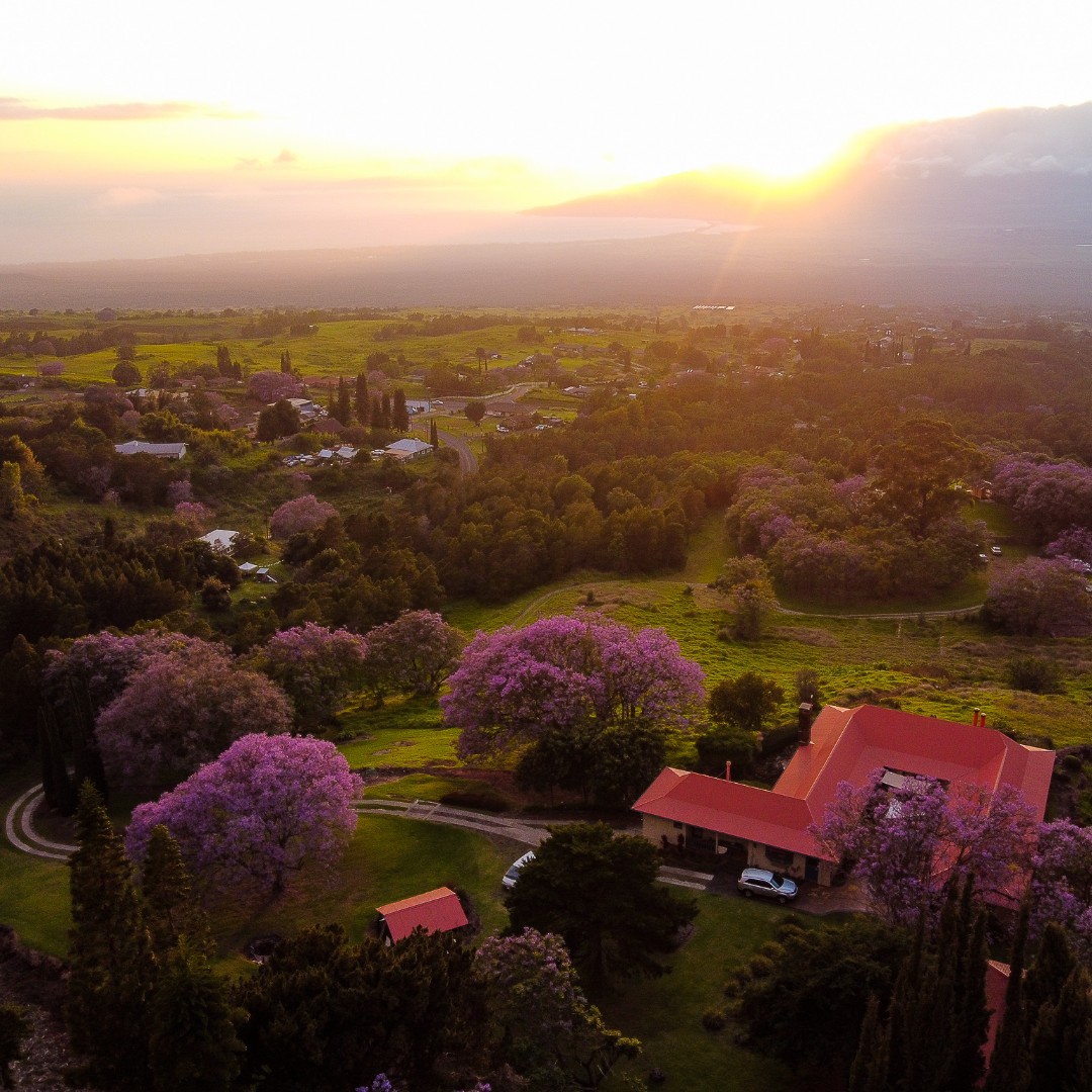 Corey Mount tweet media