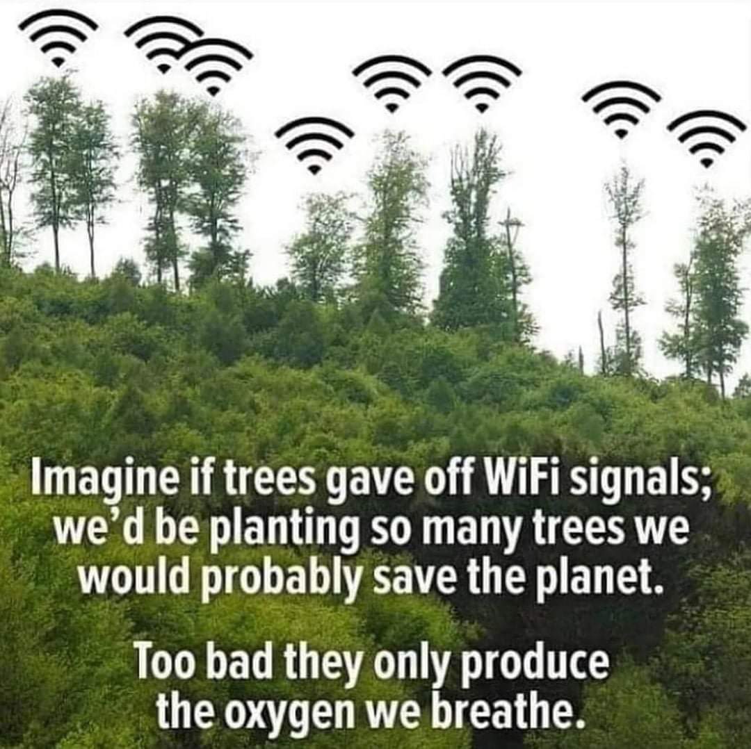 __the_notorious's tweet photo. What will COME when the coal is GONE ? Cut more TREES , destroy another FOREST ? NO, WE ARE NOT GONNA LET THAT HAPPEN !

#SaveDehingPatkai 

@sarbanandsonwal @FridayForFuture @NewsLiveGhy @ndtv @akshaykumar @AbhineetMishraa @moefcc @PrakashJavdekar @GretaThunberg @LicypriyaK https://t.co/jlOzeEDU1h