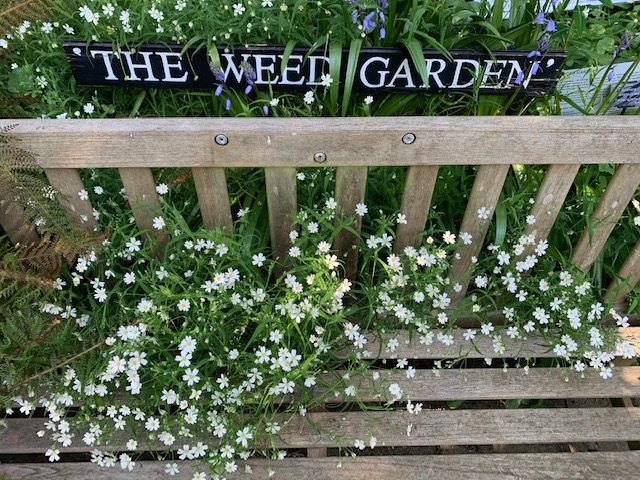 <a href="/ChelseaFringe/">Chelsea Fringe</a> <a href="/ChelseaFringeHn/">ChelseaFringeHenley</a> Family Yoga at 4pm; Gatherers exhibition; Painted Garden conversations; Make a miniature garden &amp; Rebellious Floral Crown Challenge #headyfringeflowers and finish with a cocktail &amp; 'stroll' at S London Botanical Institute chelseafringe.com/event-search/