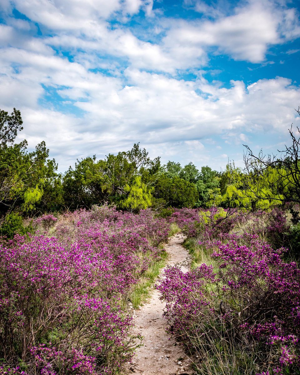 TravelTexas's tweet photo. Retweet if you wish this Texas Escape was in your backyard.
📷 by: @fromearthmedia
We know you can't go out and #TexasToDo all of the things you'd like, but hopefully we'll be able to #TexasToDoSoon. https://t.co/TfnDFZcHij