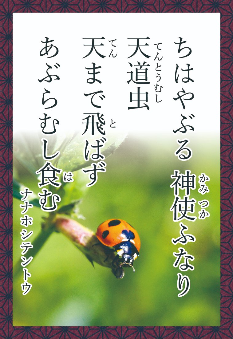 こんちゅうクン 北野 伸雄 على تويتر 百人一首風 みんなのこんちゅう和かるた 7番歌 ナナホシテントウ 歌意 お天道様 太陽 の方に向かっていく習性から 神の使いと言われている我々テントウムシだが 太陽までは飛んで行かず アブラムシを探して食べ