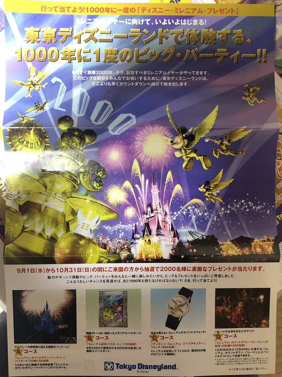 東京ディズニーランド ミレニアム記念パスポート