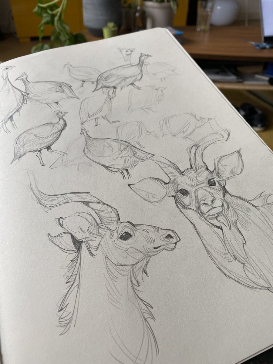Today is an "eat pancakes and sketch animals" kinda day 