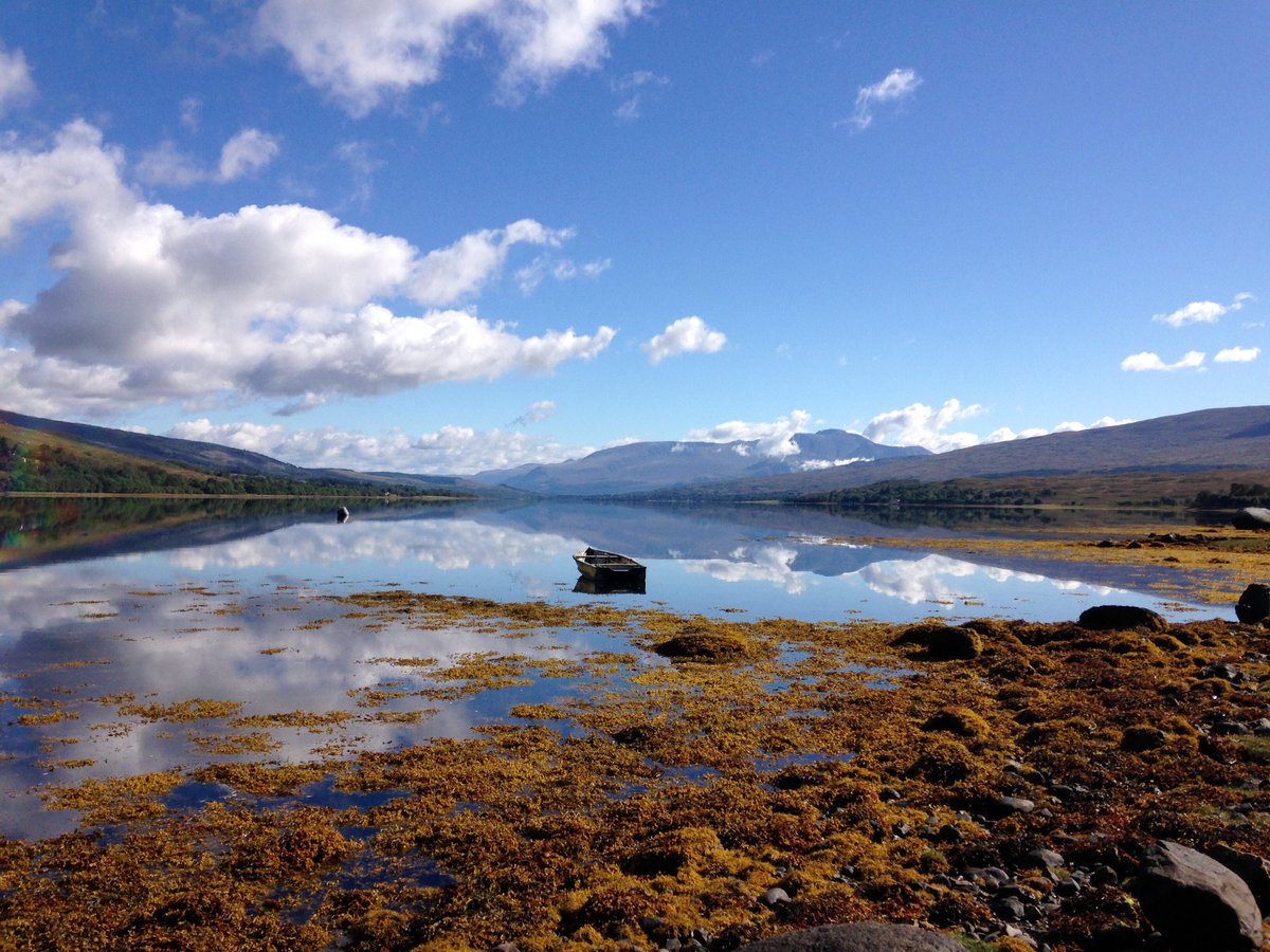 Jayne Toplis 💙 tweet media