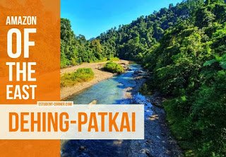 daimari341's tweet photo. #SaveDehingPatkai
#SaveDehingPatkaiElephantReserve 
#StopCoalMining
Don't detroy the natural Vegetation and the animals ,birds etc living there.
Live and let live.
@PMOIndia 
@sarbanandsonwal 
@priyankachopra
@BearGrylls 
@Cristiano 
@zubeengarg1 
@Randeep_FC 
@PayengJadav https://t.co/qBVUCfwUzm