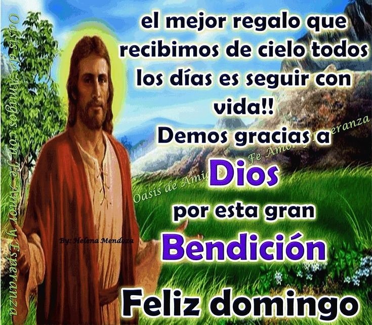 Nora Piña Ghazzaoui tweet media