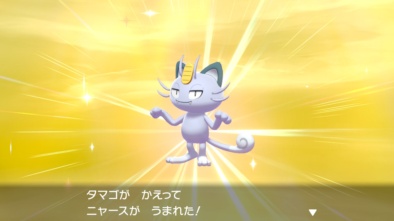 ササナリア Moe 笹かまぼこ Su Twitter ポケモン剣盾 アローラニャースが手に入ったので 今日はずっと孵化やってたんだけど アローラペルシアンって何でこんなドラ猫感あるんだろう T Co Vif6svvmdu Twitter