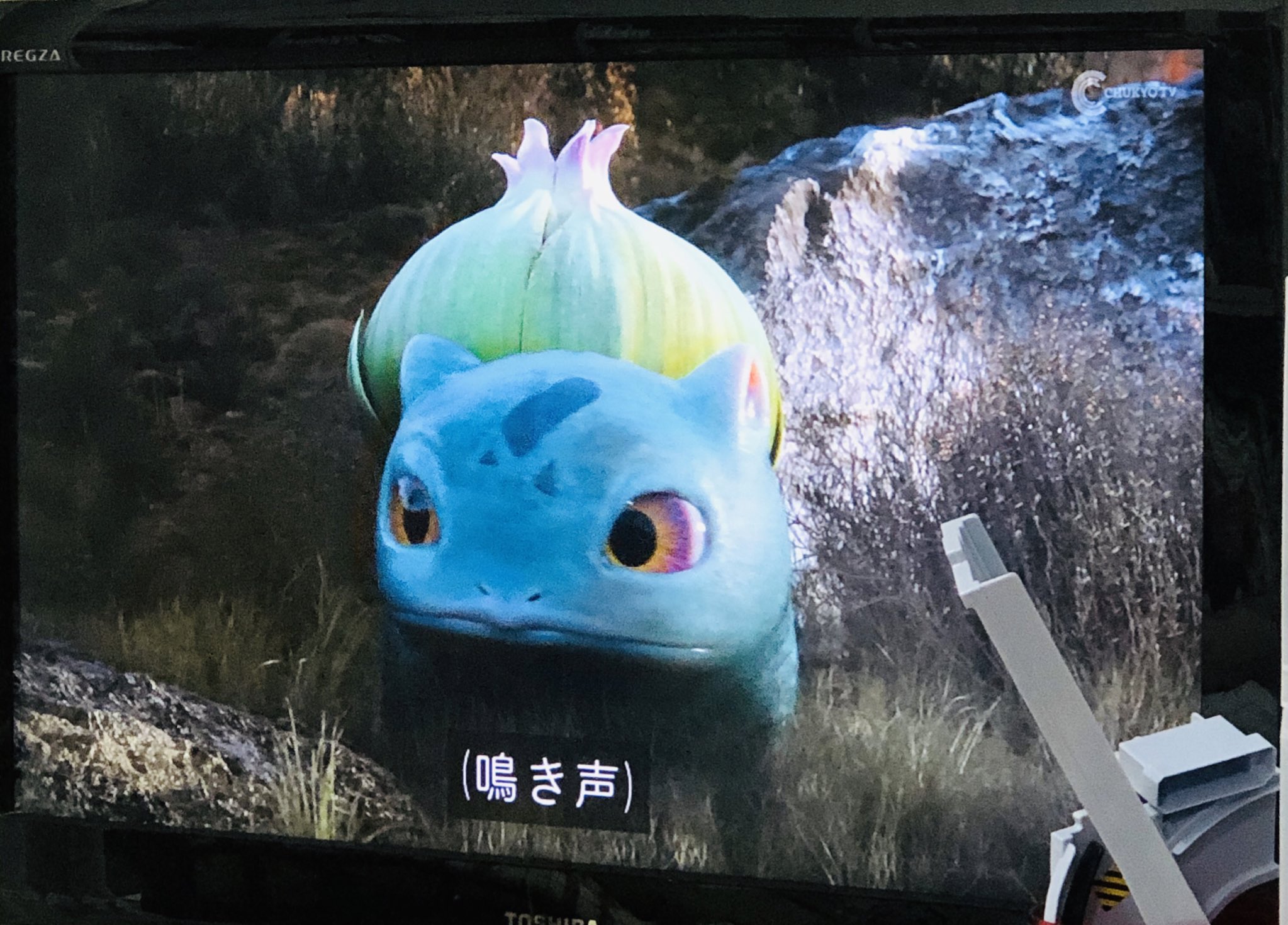 ホッツさんぱにゃにゃんだぁ セーラームーン のブルーレイもそうなんだけど 歌詞を字幕です ドャアアアアン そこじゃ ない だし 実写版ピカチュウもそうなんだけど 例えば フシギダネの 鳴き声 そこを 詳しく ねぇ どんな声し