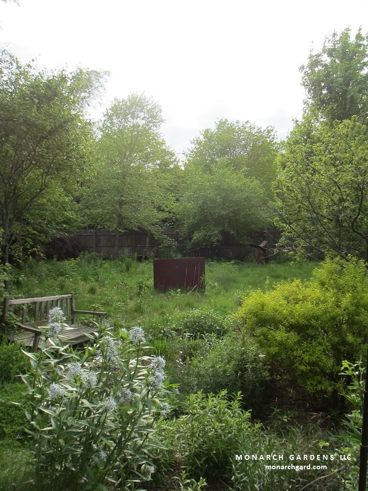 BRVogt's tweet photo. Do you mow your backyard once a year? I do. #nebraska #lnk #garden #spring #nature #lesslawn #plants https://t.co/d9qI4DiHcg