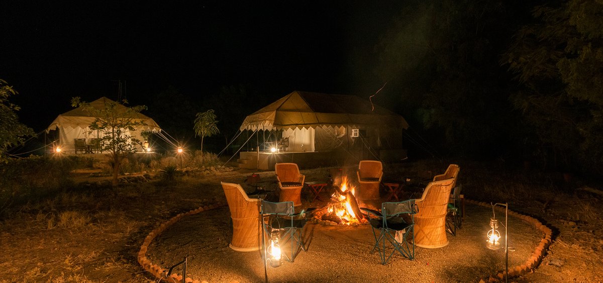 NEW BLOG!!
Best Off-beat Itinerary for Rajasthan~ Starting from Jaipur, on a road trip: varawalleopardcamp.com/blog/best-off-…