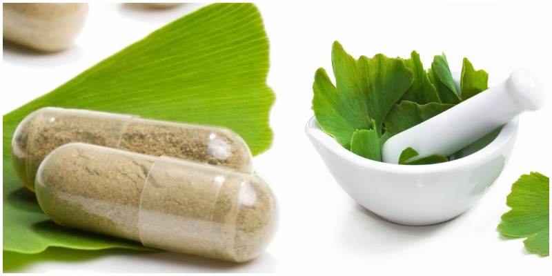 medicamento gingko biloba pregnancy que serve