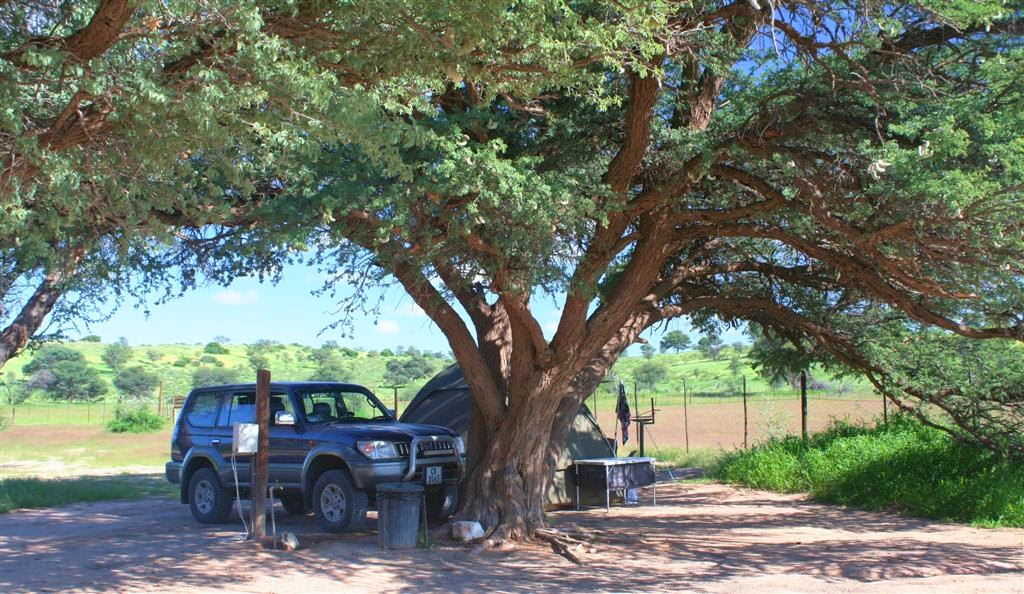 BryanKDM's tweet image. #Kgalagadi2020 #TravelTomorrow #NorthernCape  NorthernCapeSA @Tracks4Africa @boundless_sa @Tourism_gov_za @SANParksKTP @empowermzansi 
Nossob Camp at Night, Mata Mata Camp shade, Kalahari Tented Camp Dinner...