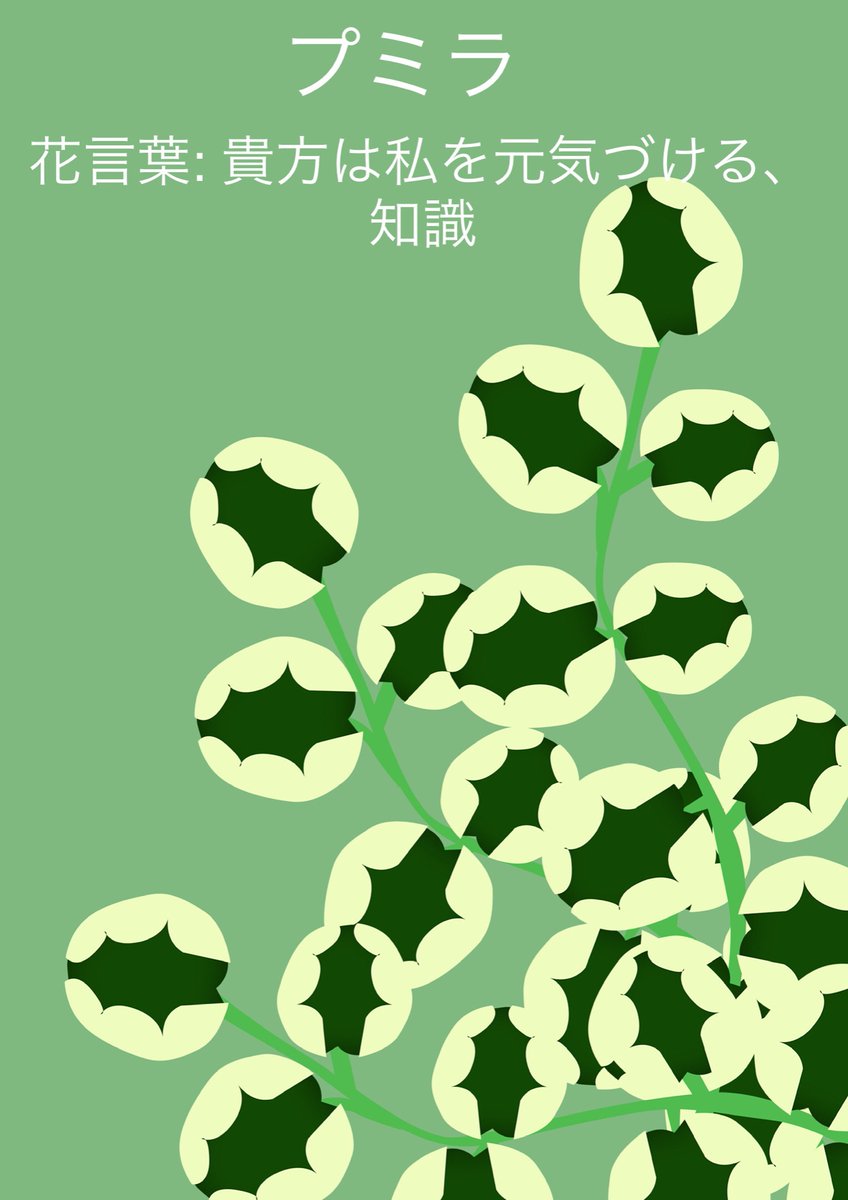 花言葉付きイラスト